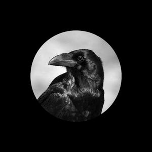 91视频网最新入口
