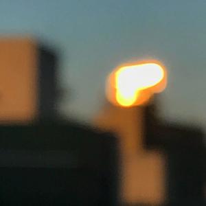 91视频网最新入口
