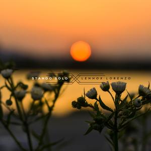 91视频网最新入口
